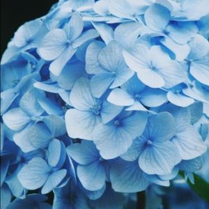 Meet your Posher, Aisha